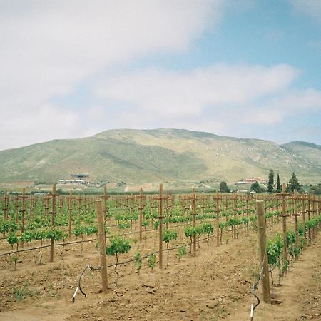Alma Liebre Vinedos Del Valle 瓜达鲁佩镇 外观 照片