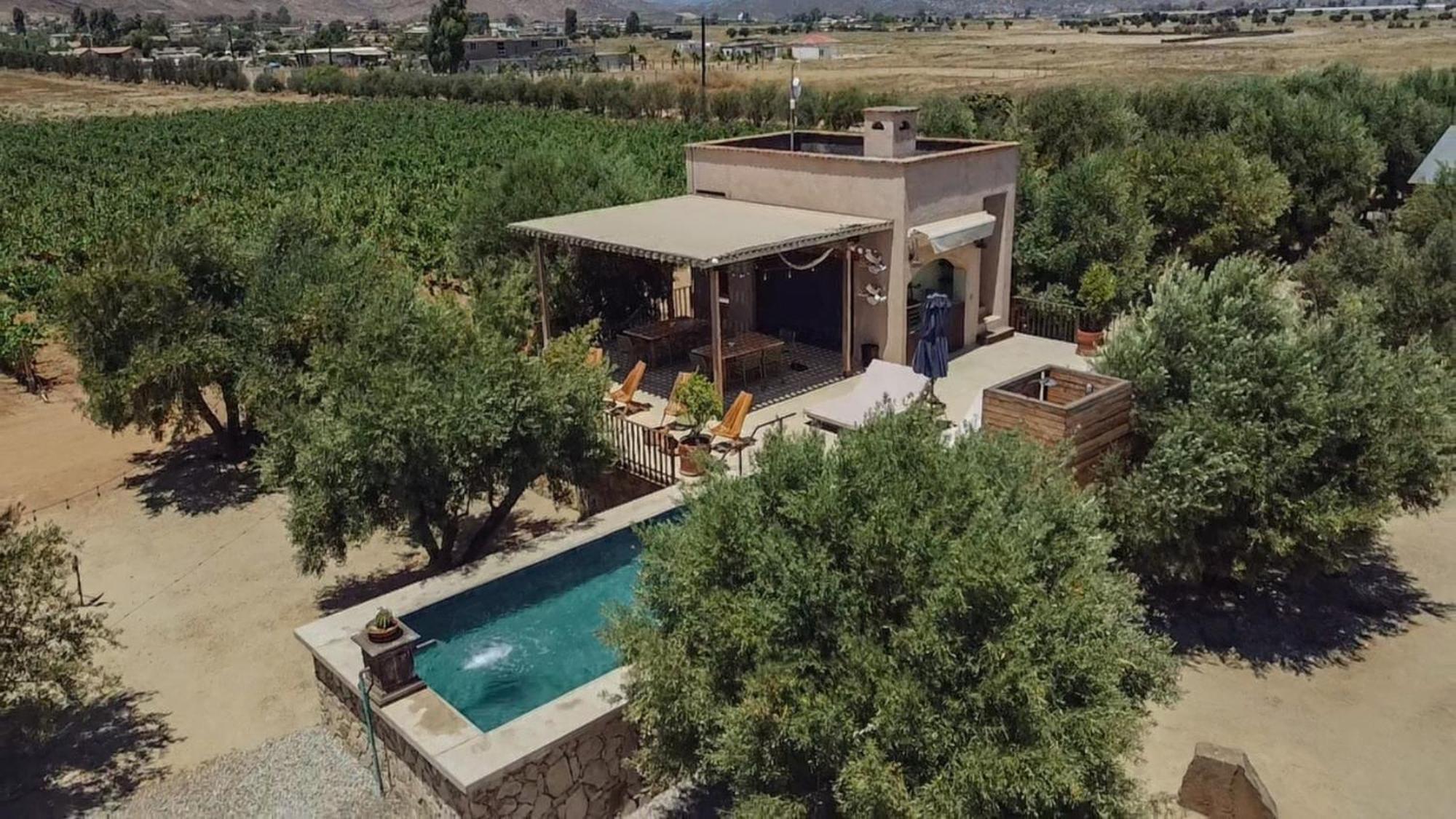 Alma Liebre Vinedos Del Valle 瓜达鲁佩镇 外观 照片
