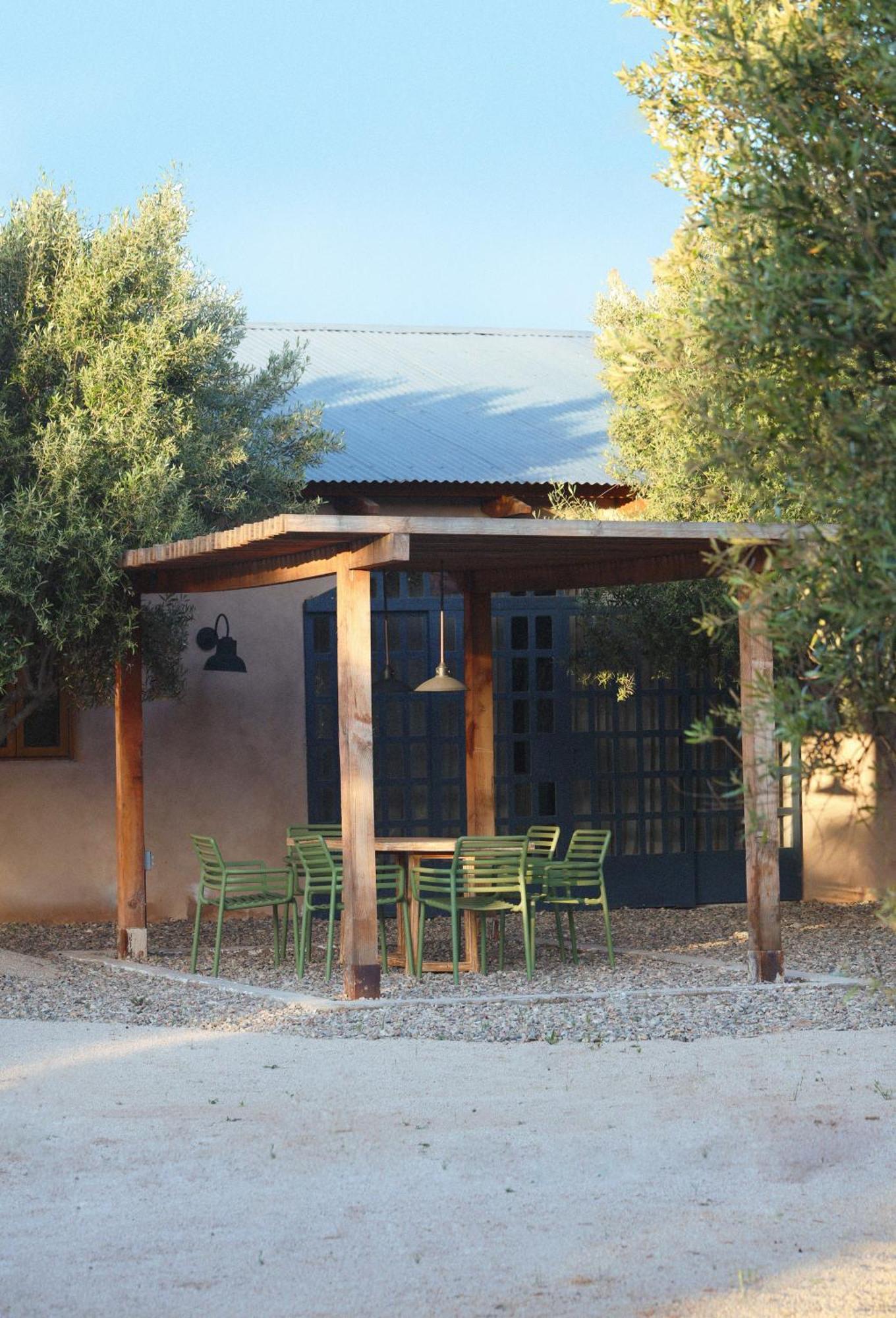 Alma Liebre Vinedos Del Valle 瓜达鲁佩镇 外观 照片